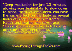 Meditation Quote from Peering Through the Veil by Debbie Takara Shelor