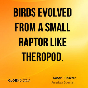 Birds evolved from a small raptor like theropod