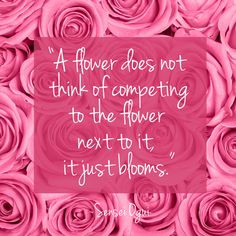 ... Quotes, Beauty Flowers, Quotes 3, Quotes Sayings, Favorite Quotes