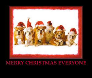 Christmas dogs-merry-christmas-everyone-cute-dogs-santa-hats