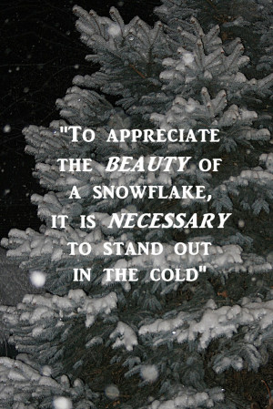 Snowflake quote