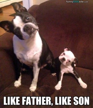 Like_Father_Like_Son