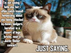cat, grumpy cat meme, grumpy cat quotes, funny grumpy cat quotes ...