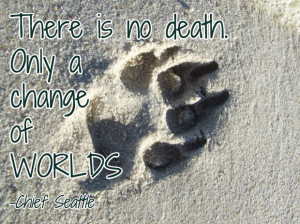 but hopefully pet mourners can find comfort in these quotes about dog ...