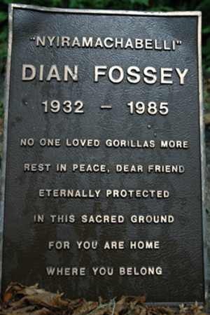 International Primate Protection League Marker On Fossey Grave © G ...
