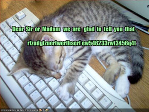funny-pictures-kitten-falls-asleep-while-writing-a-letter