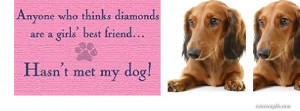 My dog, my best friend Facebook Covers