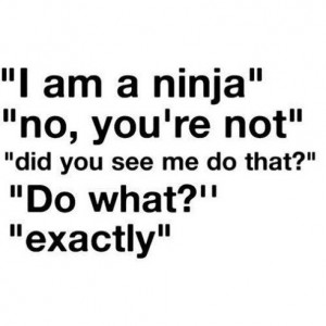 am an ninja. No, you're not. Did you see me do that? do what ...