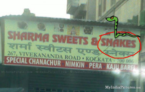 Sweets And Snakes Funny...