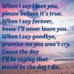 ... say forever know ill never leave you when i say goodbye love quote