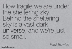 Quotation-Paul-Bowles-universe-life-humanity-Meetville-Quotes-156264
