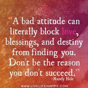 Bad attitude and success - mandy hale