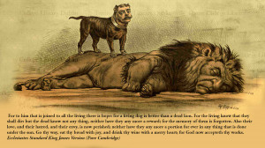 ... -for-a-living-dog-is-better-than-dead-lion-quotes-468984.jpg