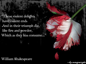 Twilight Saga Wallpaper by mangowiczka