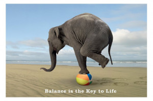 balanced life, balanced health, burnaby bc wellness