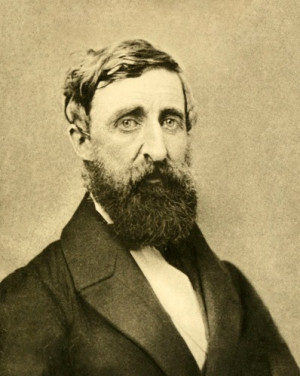 Henry David Thoreau Facts 9: curiosity about everything