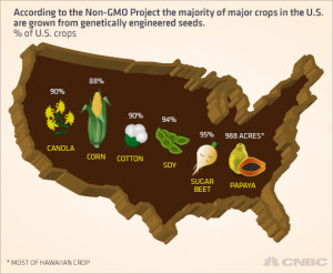 Craig Shiesley, senior vice president of plant-based food and ...