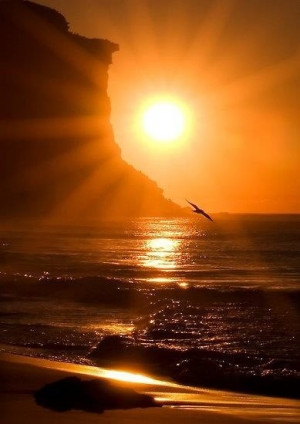all of god s creation reminds us of his power creativity and ...