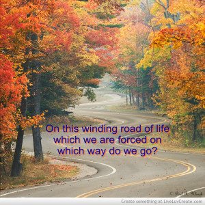 winding_road_of_life-140381.jpg?i