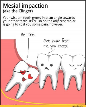 ... wisdom tooth grows in at an angle towards your other teeth. / wisdom