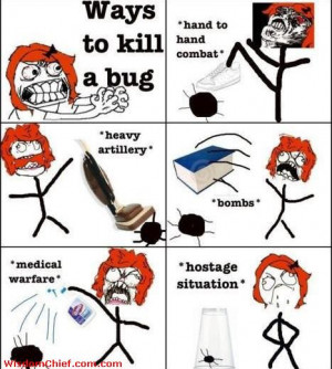 Ways To Kill A Bug