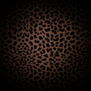 jaguar skin pattern ipad wallpaper.jpg