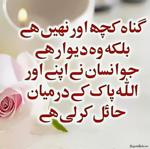 Top 10 Best Sad Shayari In Urdu And Hind With Pictures