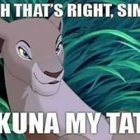 funny-simba-lion-king-photo.jpg