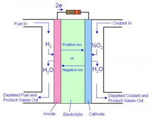 Fuel Cell