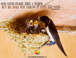 Swedish Proverb - God gives every bird a worm but he does not throw it ...