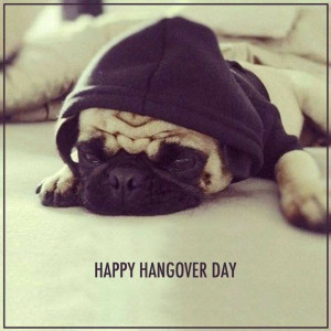 Happy hangover day, cute pug