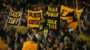 Tigers fans
