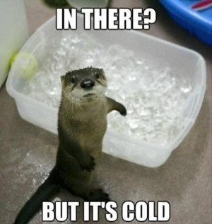 cold funny pictures