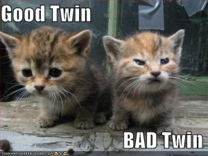 funny-pictures-good-and-evil-kittens