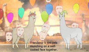 Friendship - Llamas with Hats Picture