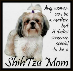 prOud Shih Tzu mOm! :) I was,