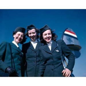 Portrait of three of three female cabin crew members standing near ...