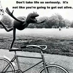 ... muppet, bicycle, cykel, bike, wheels, balance, wisdom, citat, quote