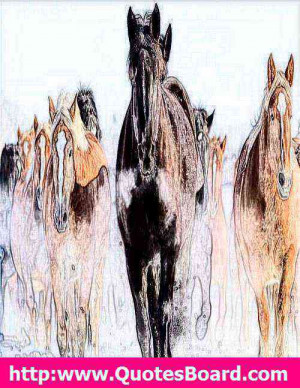 grasp the subject the words will follow cato the elder