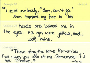 Maggie Stiefvater, Shiver