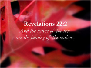 Bible Scriptures Christian Religious Spiritual Nature Autumn Fall Shae