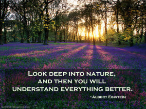 ... , and then you will understand everything better. Albert Einstein