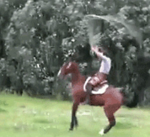 funny-gif-horse-jump-rope