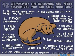 New Years Resolutions Quotes Images 1005