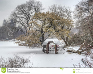 Central Park Snow Storm One