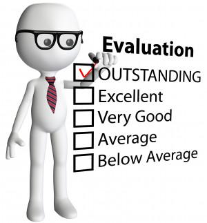 Examples of Organizational Evaluation