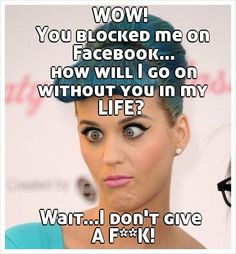 WOW! You blocked me on Facebook... how will I go on without you in my ...