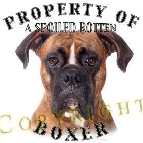 funny boxer sayings | Boxer Dog Image