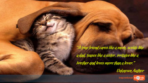 Inspirational Wallpaper Quote. Unknown Author