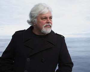 photo of a bearded man with the sea in the background